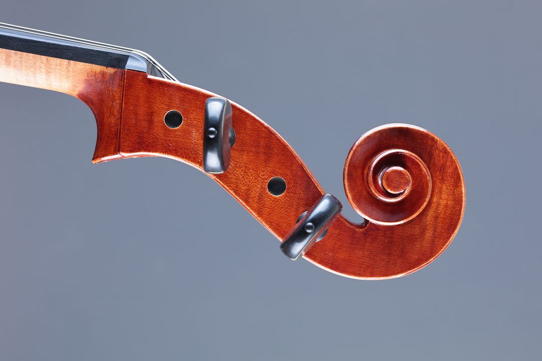 Klotz Julia - Mittenwald Anno 2026 - Palmkatzl - C-436